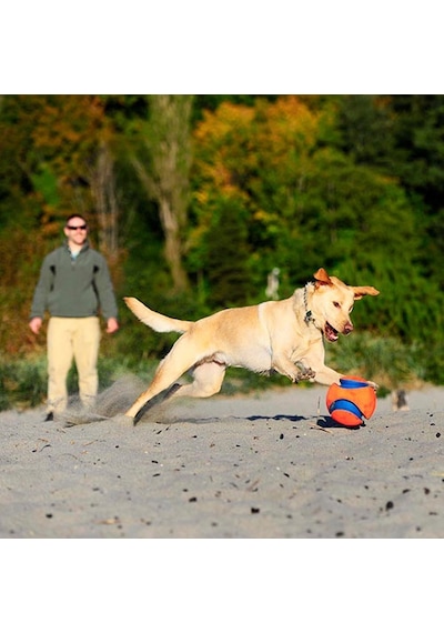 Chuckit Kick Fetch Köpek Oyun Topu Büyük Boy 20 Cm 260-50018.01