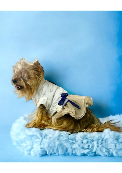 Kemique Navy Creamy Tütülü Köpek Elbisesi