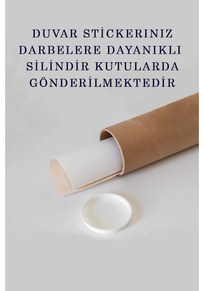 Harita Sepeti Eğitici - Öğretici Dünya Ve Türkiye Haritası Çocuk Odası Duvar Sticker-60x105-3887 Renkli
