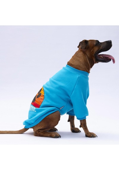 Turkuaz Carmel Büyük Irk Köpek Sweat-köpek Kıyafeti