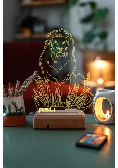 Aslan 16 Renk Kumandalı 3d Gece Lambası Çok Renkli