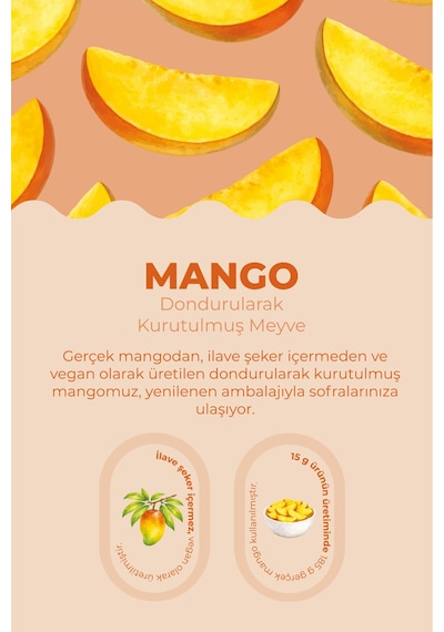 Mango Kuru Meyve Cipsi - Dondurularak Kurutulmuş Freeze Dried Çıtır Mango - 15g - 890564025 Diğer