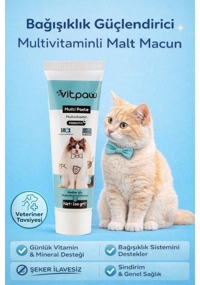 Vitpaw Multi Paste 100 G