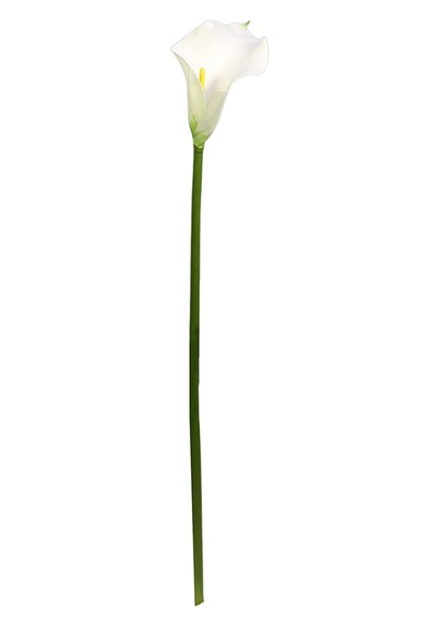 Yapay Gala Dalı Mini Beyaz 45 Cm Beyaz