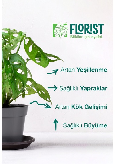 Florıst-yeşil Yapraklı Bitkiler Ve Daha Yeşil Yapraklar İçin Sıvı Konsantre Bitki Besini 200