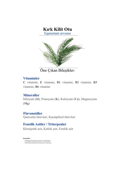 Kırkkilit Otu Bitkisel Sıvı Ekstraktı 250ml - Takviye Edici Gıda