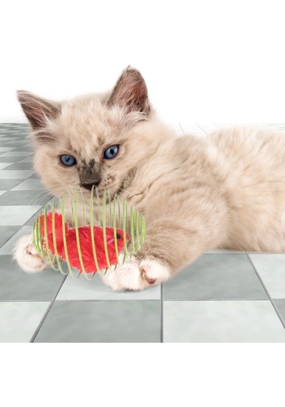 Ankaverse Sıçrayan Fareli Spiral Kedi Oyun Topu