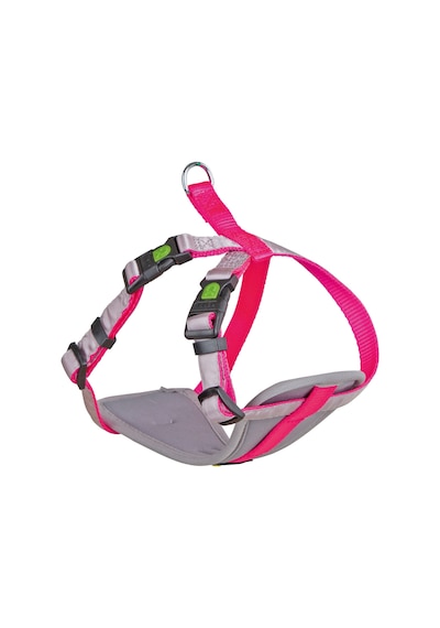 Küçük Irk Köpek Tasması Small Dog Pembe 26 - 32 Cm Pembe