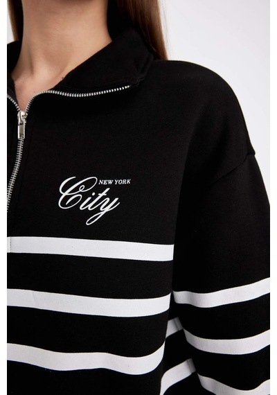 DeFacto Regular Fit Yarım Fermuarlı Dik Yaka Çizgili Kalın Sweatshirt D5297AX24AUBK81