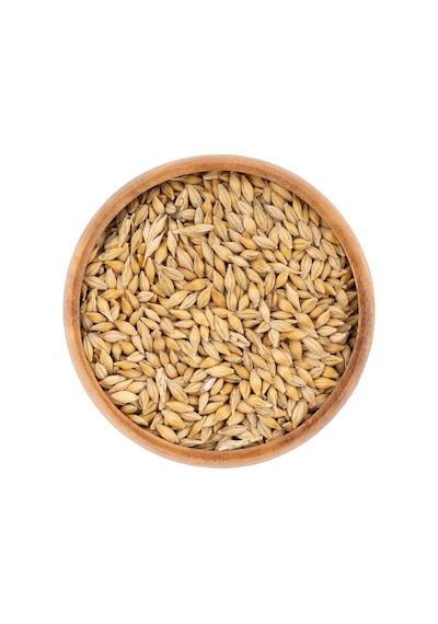 Aktar Store Arpa Tane 1 KG