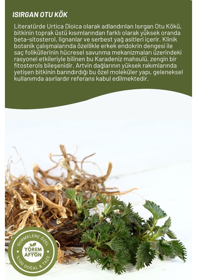Yörem Afyon Artvin Yöresinden Toprağın Altındaki Güç Hakiki Isırgan Otu Kökü, Yakan Ot Urtica Dioica 40gr.