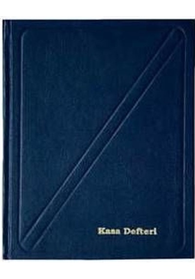 DİLMAN KASA DEFTERİ 12X17 320 YAPRAK