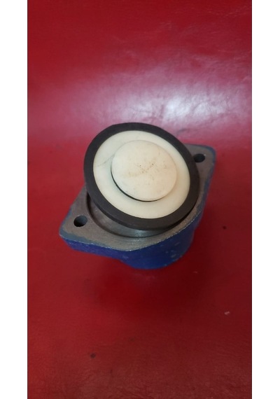Klapeli 0.5&1 Hp Preferikal Pompa Su Giriş Parça Gövdesi Ve Klapesi-takım