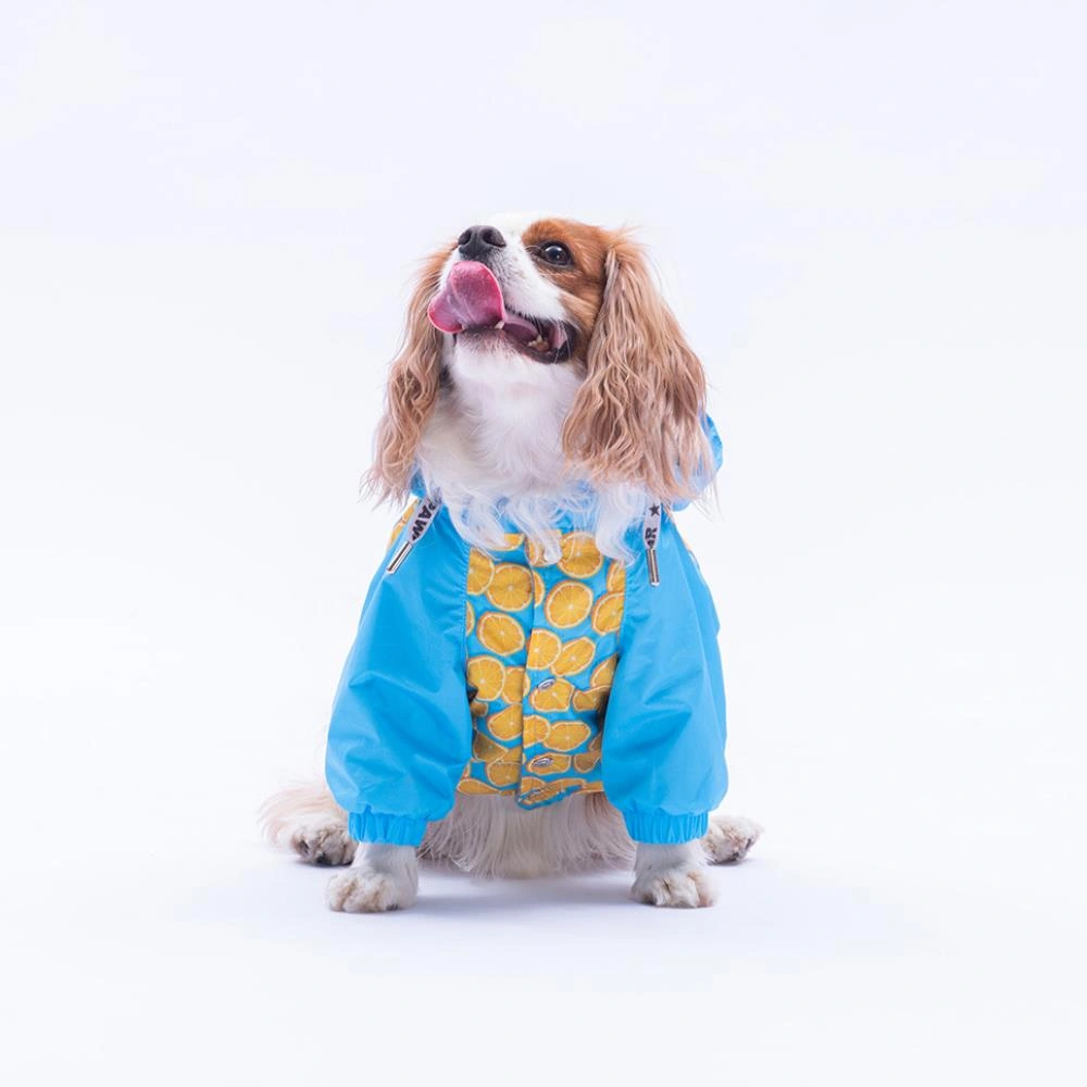 Nice Citrus Narenciye Desenli Köpek Mont Köpek Yağmurluk Köpek Kıyafeti Köpek Elbisesi