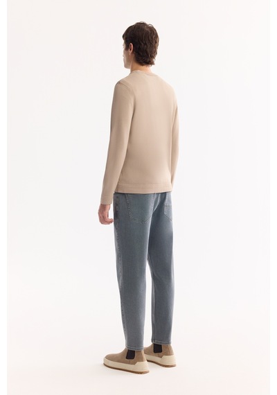 Avva Erkek Vizon Bisiklet Yaka Rayon Tüylenmeyen Regular Fit Triko Kazak A52y5001