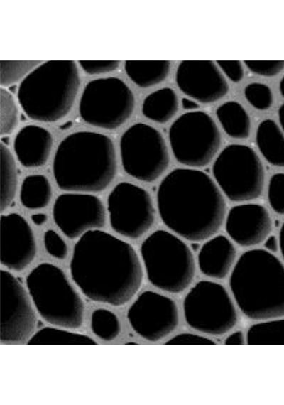 Prechar Meşe Odunu Bazlı Karbon Toprak Düzenleyici 1l Biochar 3mm Ve Altı 1 LT