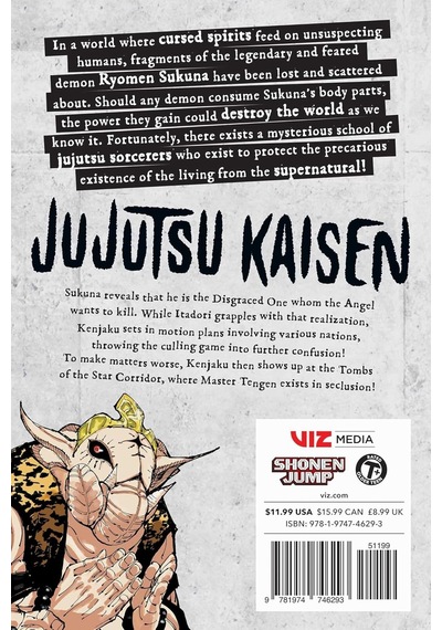 Jujutsu Kaisen, Vol. 23: Volume 23