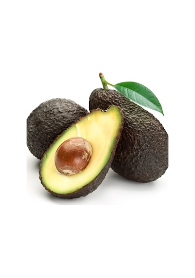 Tüplü Aşılı Has Black Avokado  Fidanı
