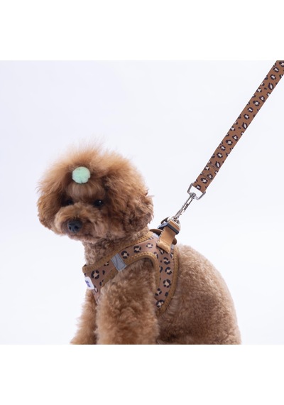 Wild Elegance Göğüs Tasması Ve Sevk Kayışı Tasma Seti Leopar Kedi Köpek Göğüs Tasması Seti Kahverengi