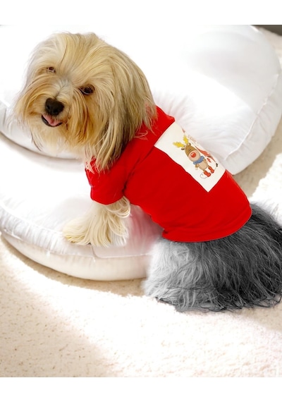 Santa And Friend Rudolph Köpek Tişörtü Yılbaşı Noel Christmas Köpek Elbisesi