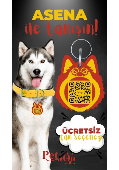 Petjoo 25.Asena Kırmızı-Sarı Qr'lı Köpek Künyesi