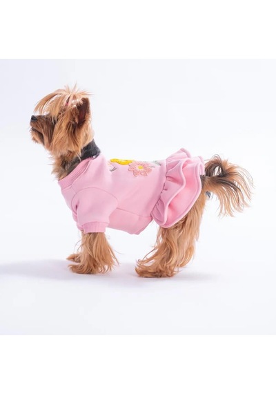 Pawstar Pembe Arosa Nivalis Küçük Irk Köpek Elbisesi