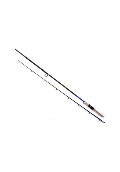 Ryobı Aosagı 2 Parçalı 240 Cm 10-40 Gr Atarlı Spın Kamış (544267379)