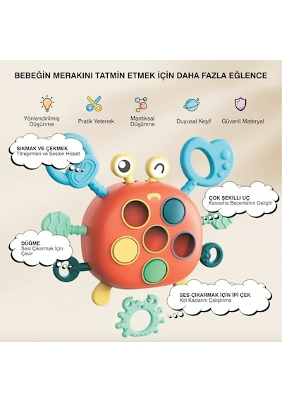 Yengeç Şekilli Montessori Duyusal Gözlem Beceri Geliştirme Eğitic