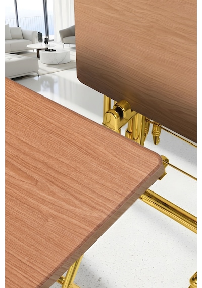Eranş Serisi 4'lü Katlanır Mdf Mebran Ahşap Çanta Zigon Sehpa Gold Ayak Atlantik Çam Desen Gold Ayakk