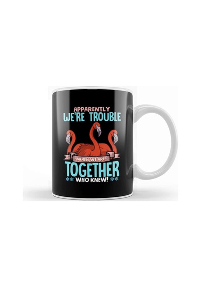 Apparently We Re Trouble When We Are Together Kupa Bardak Porselen No5876 Karışık