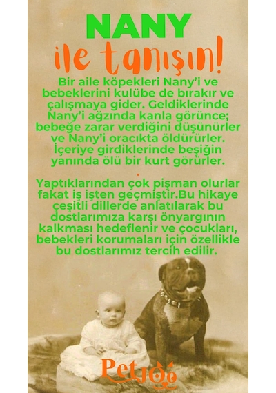 Petjoo 17.Nany Turuncu-Yeşil Qr'lı Köpek Künyesi