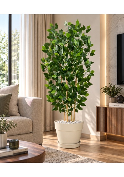150 Cm 4 Bambu Gövdeli Benjamin Ağacı Krem Plastik Saksıda Çok Renkli