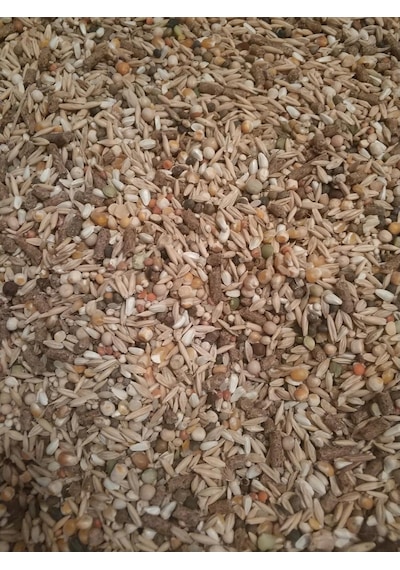 Goldmind Mix Kemirgen Yemi, Chinchilla, Hamster, Tavşan Ve Guinea Pig İçin 16 Çeşit Tahıl Karışımı 2 Kg