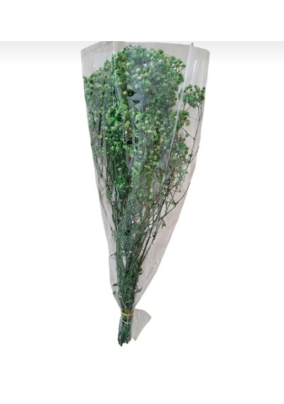 Şoklanmış Kurutulmuş Cipso Çiçeği 1 Demet 50-60gr - 35-45cm Yeşil