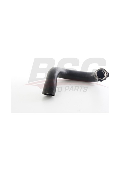Bsg Turbo Hortumu - Fıat 500 L 12-