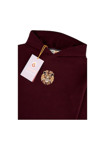 Gsstore X Reflect Studio Aslan Çocuk Hoodie C242400 Bordo