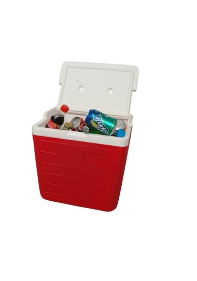 Kale 11 Lt Midi İce Box Oto Termos Buz Kutusu Kale 1020 Çok Renkli
