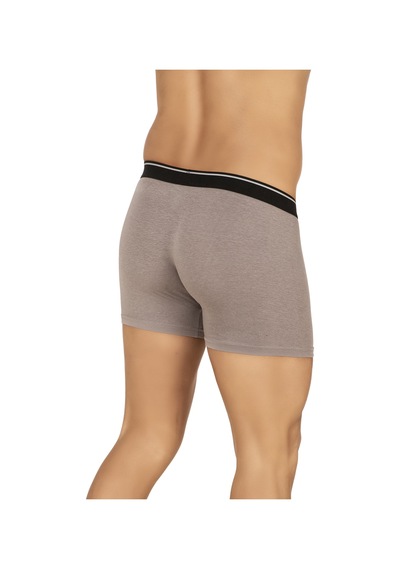 Özkan Underwear Özkan 11256 3'lü Paket Erkek Premium Kumaş Modal Pamuklu Esnek Yumuşak Boxer Şort Gri