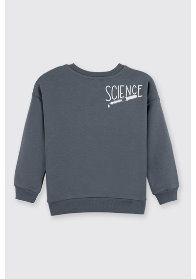 Panço Erkek Çocuk Baskılı Petrol Sweatshirt Mavi
