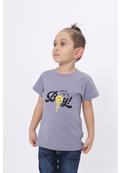 Toontoy Kids Toontoy Erkek Çocuk Bisiklet Yaka Kısa Kollu Baskılı Tişört 24103 Gri