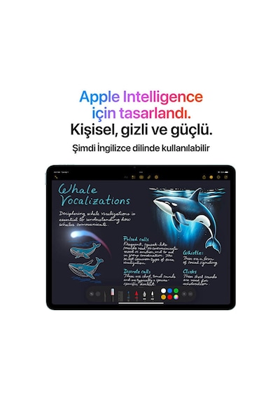 Apple iPad Air MCFX4TU/A Wi-Fi + Cellular 8 GB 128 GB 11" Tablet