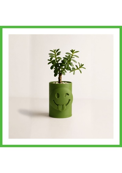 Vaveni 3d Baskı Emoji Planter - Göz Kırpan Yüzlü Sukulent Saksısı-yeşil Arz
