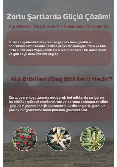 Shionle Cilt Tonu Eşitleyici, Yoğun Nem Boncuklu Kore Moist Krem 50ml