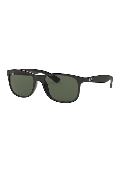 Ray-Ban Rb4202 606971 Erkek Güneş Gözlüğü