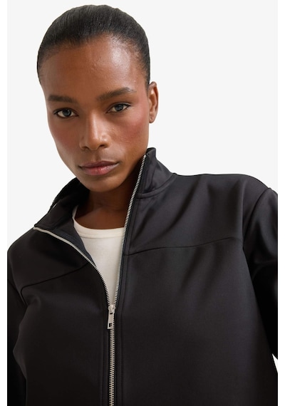 Defacto Defactofit Standart Fit Dik Yaka Esnek Kumaş İçi Yumuşak Tüylü Fermuarlı Sweatshirt E8981ax25aubk81 Siyah