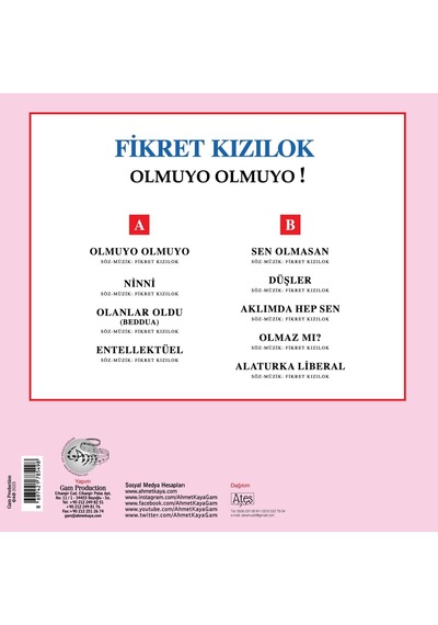 Fikret Kızılok Olmuyo Olmuyo - Plak Lp