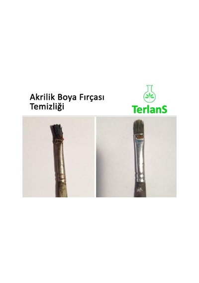 Terlans Sanatsal Boya ve Fırça Temizleyici 250 Ml Brush Cleaner