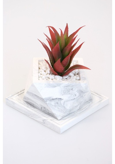 Yapay Çiçek Deposu Altlıklı Beton Saksıda Kaliteli Yapay Succulent Kaktüs Set Kızıl