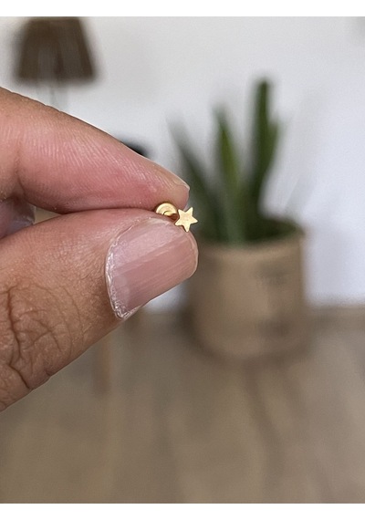 316 L Cerrahi Çelik Tragus Helix Kıkırdak Conch Minik Yıldız Piercing Antra Melanj