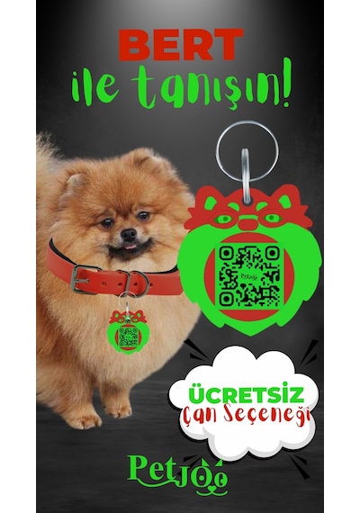 Petjoo 13.Bert Yeşil-Kırmızı Qr'lı Köpek Künyesi